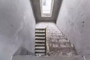 Фото к объявлению #22204232