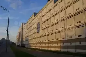 Фото к объявлению #21446725