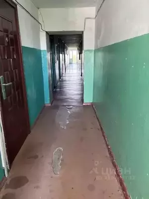 Фото к объявлению #22200832