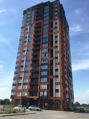 Фото к объявлению #21310060