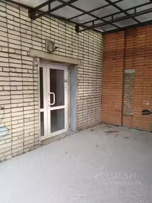 Фото к объявлению #20898185