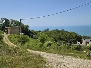 Фото к объявлению #22209701