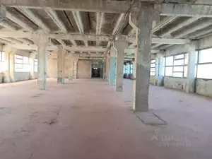 Фото к объявлению #22110696