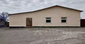 Фото к объявлению #22249181