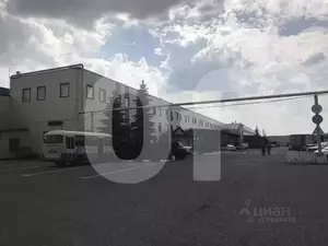 Фото к объявлению #22115482