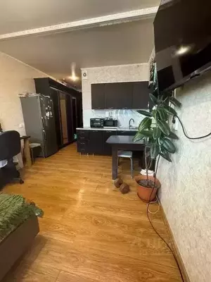 Фото к объявлению #21099404