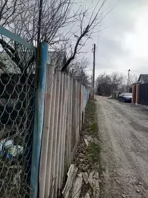 Фото к объявлению #21984930