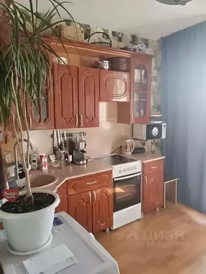 Фото к объявлению #21706964