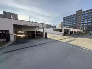 Фото к объявлению #22175089