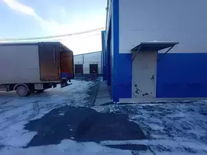 Фото к объявлению #22223172