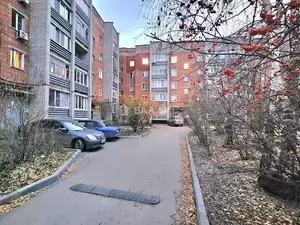 Фото к объявлению #21659366