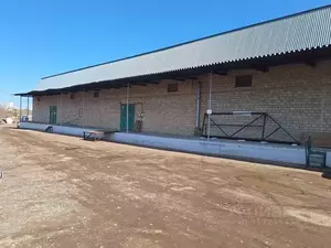 Фото к объявлению #22088395