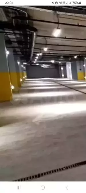 Фото к объявлению #20541122