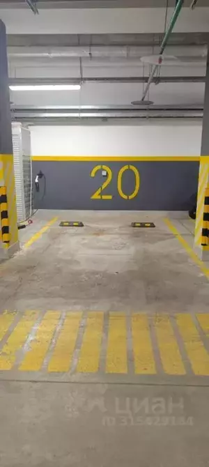 Фото к объявлению #22004021