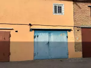 Фото к объявлению #22286340