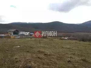 Фото к объявлению #21592637