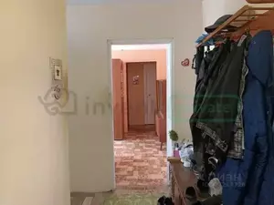 Фото к объявлению #22167269