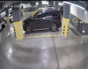 Фото к объявлению #21400705