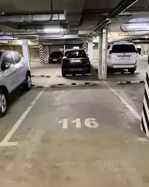 Фото к объявлению #19806156