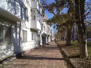 Фото к объявлению #21709164
