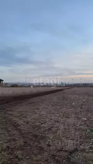 Фото к объявлению #22262906