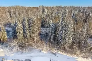 Фото к объявлению #22280934