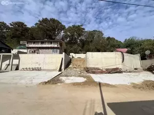 Фото к объявлению #22250552