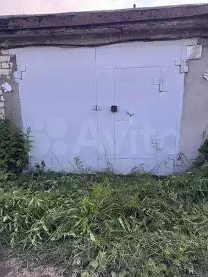 Фото к объявлению #22073739