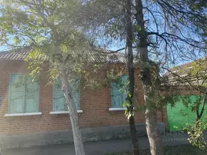 Фото к объявлению #22213280