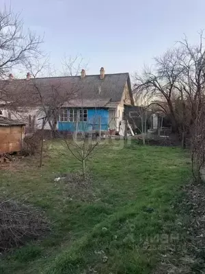 Фото к объявлению #22271577