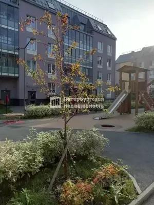 Фото к объявлению #21429426