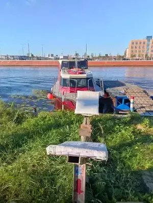 Фото к объявлению #22211355