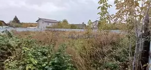 Фото к объявлению #22215514