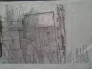 Фото к объявлению #22175426