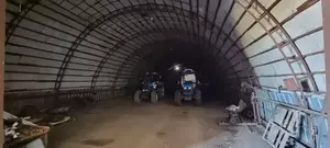 Фото к объявлению #22125971