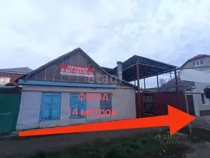 Фото к объявлению #22216433