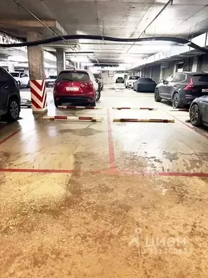 Фото к объявлению #22156168