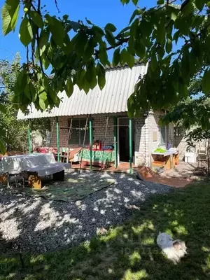 Фото к объявлению #21933591