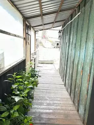 Фото к объявлению #22179627