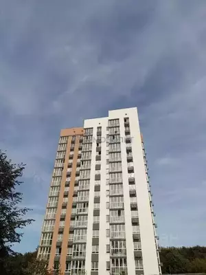 Фото к объявлению #22000198