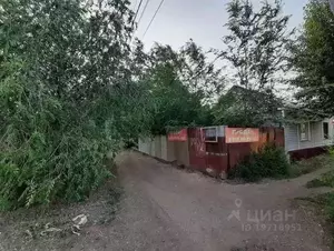 Фото к объявлению #21224594