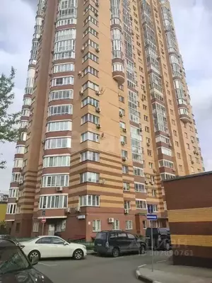 Фото к объявлению #20147679