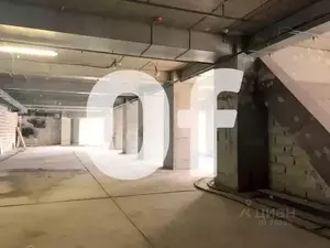 Фото к объявлению #19748863