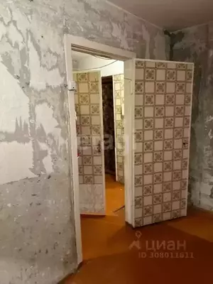 Фото к объявлению #21356805