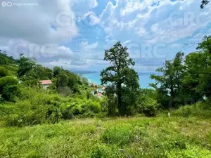 Фото к объявлению #20700421