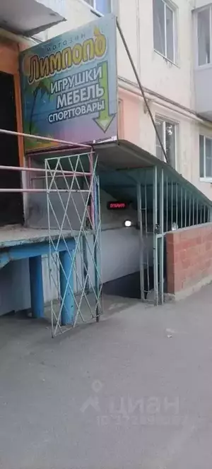 Фото к объявлению #22203874