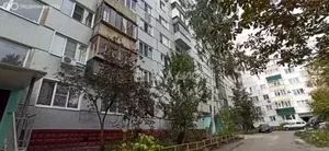 Фото к объявлению #21129655