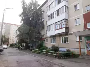 Фото к объявлению #20540347