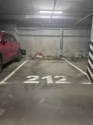 Фото к объявлению #20753836