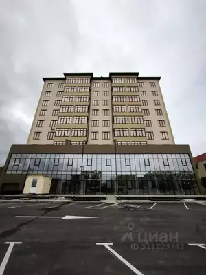 Фото к объявлению #21975660